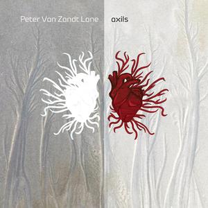 Anabranch (feat. Splice Ensemble)