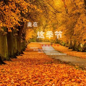 走在这季节