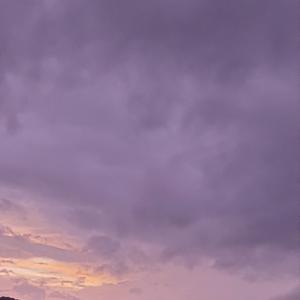 繁华之处 (翻自 网易音乐人)