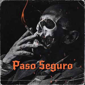 Paso Seguro
