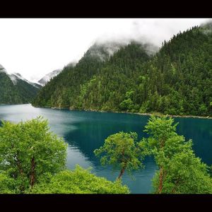 我是一只鱼-任贤齐