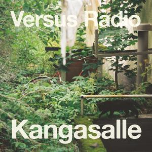 Kangasalle