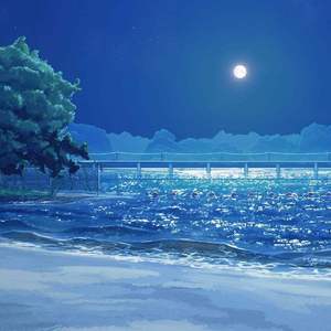 【指弹】今晚月色很美（今晩はお月さん）