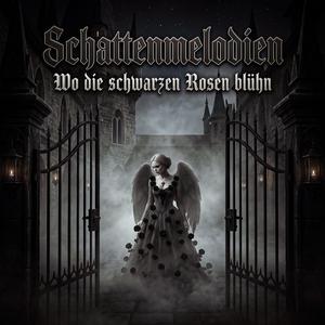 Wo die schwarzen Rosen blühn