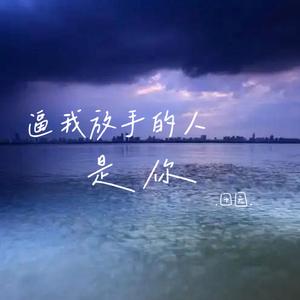 逼我放手的人是你（空灵版）