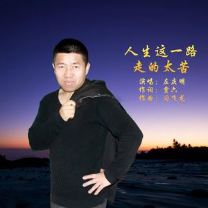 人生这一路走的太苦