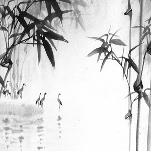 不溯（翻自 星村麻衣）