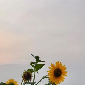 为你我受冷风吹