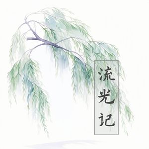 流光记