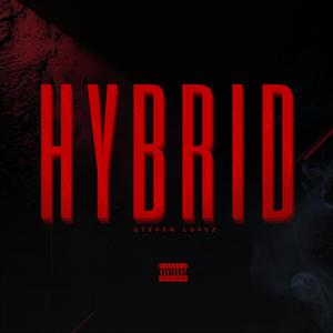 Hybrid