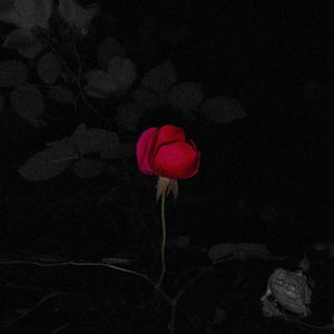 在分崩离析之前，在我爱你之后（On A Night With No Tomorrow）