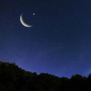 静谧的夜空 (5)