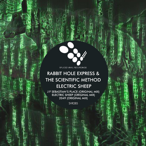 Electric Sheep (Original Mix)