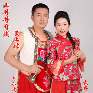 山丹丹开满黄土坡