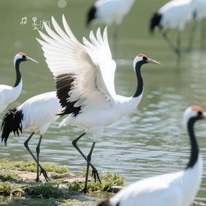 时间啊 (Cover 周深)