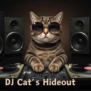 Rhythms of the Evening Glow