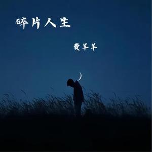 碎片人生