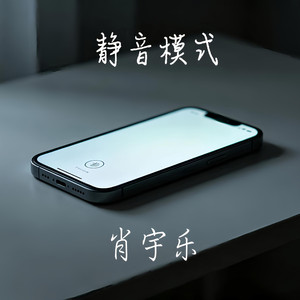 静音模式