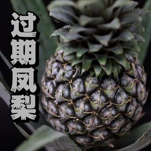 过期凤梨（cover：司南）