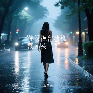 你没挽留我也没回头