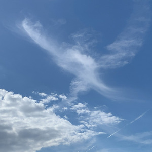 FUUMON (feat. SAKURA)