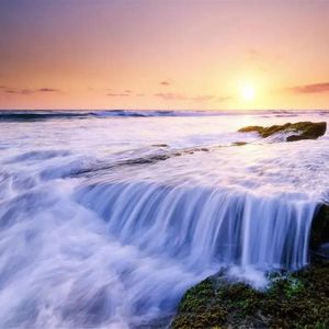 里约热内卢诚信茄子-2