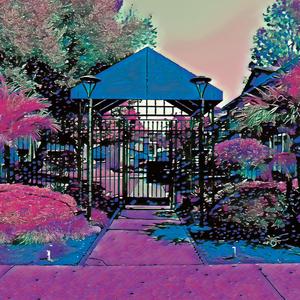 You Laughing At My Dog?!