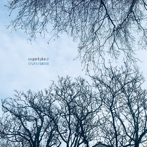 A Quiet Place