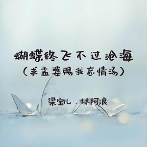 蝴蝶终飞不过沧海(求孟婆赐我忘情汤)