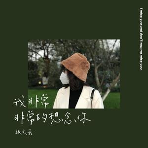 我非常非常的想念你