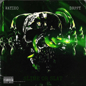 Slime Or Slat