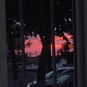 Plain Jane+你要结婚了