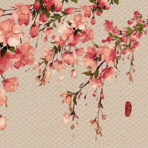 牵丝戏（二胡&京胡版）