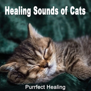 Healing Sounds of Cats (Loopable)