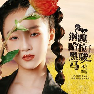 钢嘎哈拉黑骏马