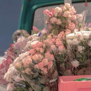 对我的所有人说