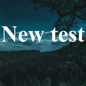 New test (Instrumental)