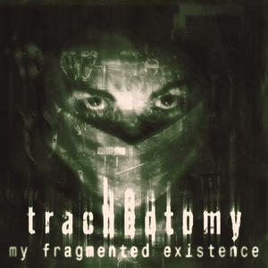 My Fragmented Existence
