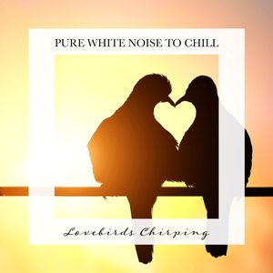 Lovebird Chirping, Pt. 8