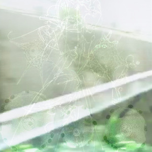 stacking (feat. alouji)