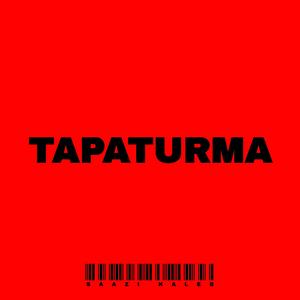 TAPATURMA
