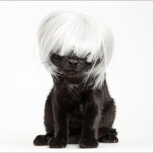 MONTAGEM MIAU JUMPSTYLE (Ultra Slowed)