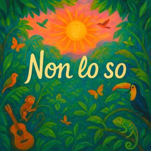 NON LO SO