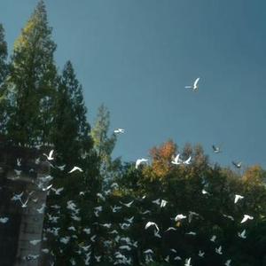 一分一秒  (氛围版)