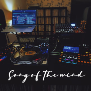 Song of Wind（feat Dj Evilbee、张怡然）