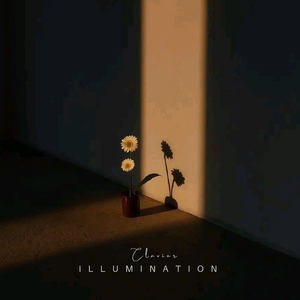Illumination