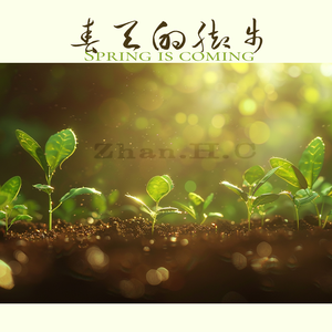 春天的脚步
