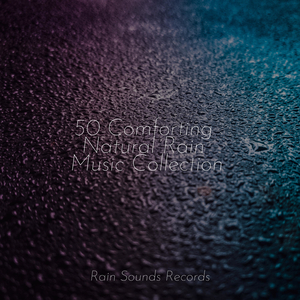 Tranquil Stream Dances Softly