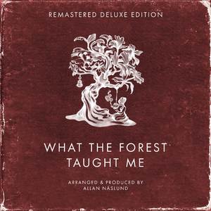 What the Forest Taught Me (From "Secret of Mana") (Remastered)