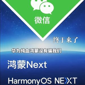 他没有骗你(花粉版)